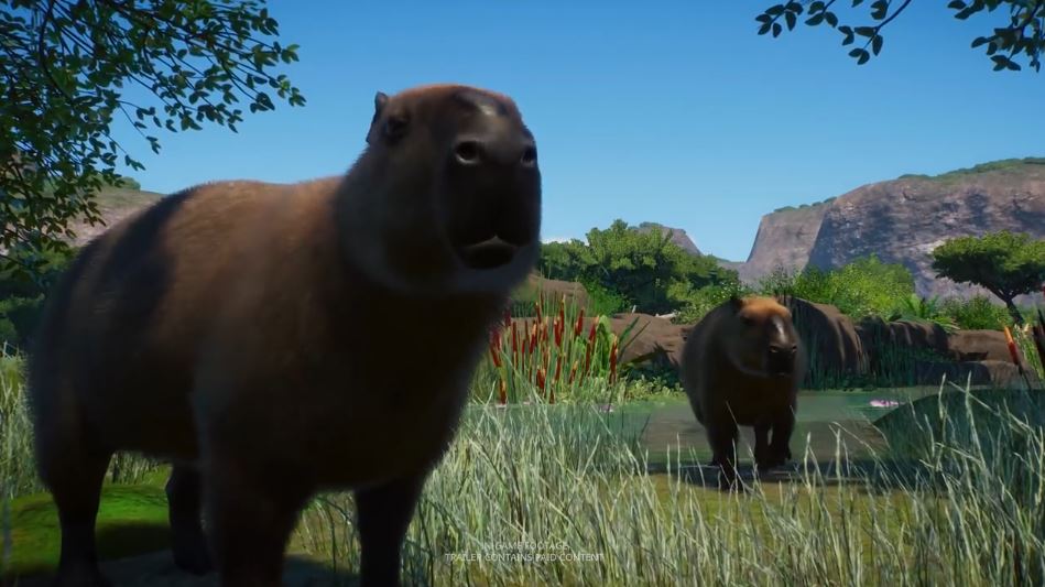 模拟经营游戏《动物园之星》公布“湿地”主题DLC动物扩展包 加入野生水牛、丹顶鹤等动物